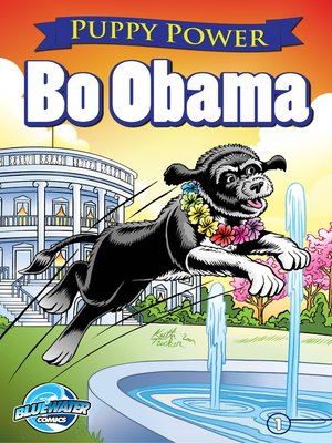 cover image of Bo Obama